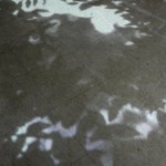 http://app.lightizm.com/files/gimgs/th-76_71_Nostalgia1_v2.jpg